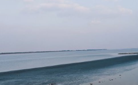 �����҂�����ȥ��������