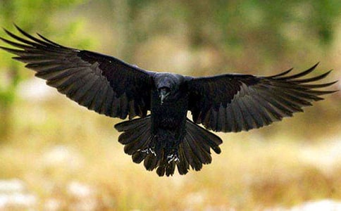 ���P(gu��n)�����f��ˮ���̰�ģ�弯�\ʮƪ