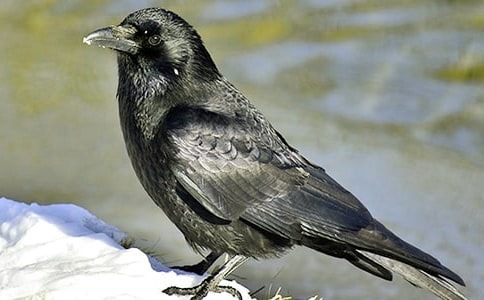 ���f��ˮ�x���