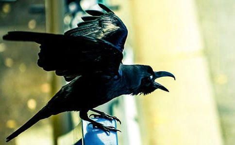 �����f��ˮ���x���15ƪ