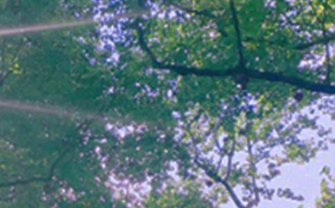 ��(g��)���簲���Z(y��)��ͨ��30�䣩