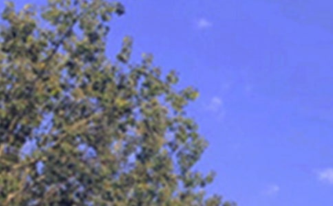 經(jīng)典暖心午安寄語80句精選