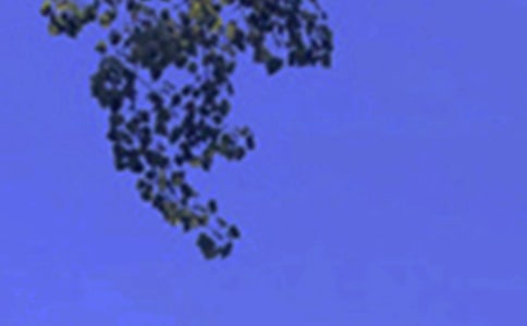 經(jīng)典午安寄語30句