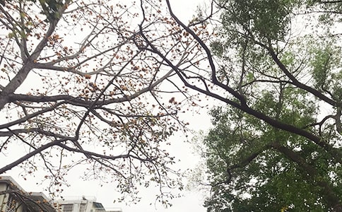 朋友圈午安寄語(精選40句)