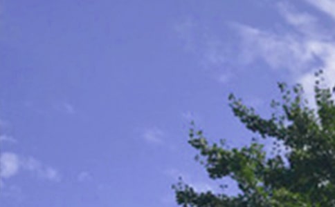 治愈午安寄語(yǔ)80句精選