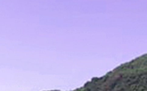 唯美午安寄語80句