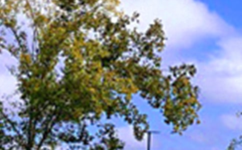 經(jīng)典唯美午安寄語(精選100句)