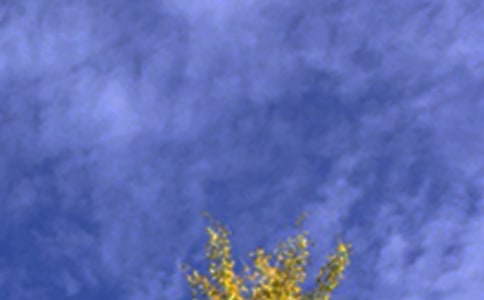 ��(j��ng)�������簲���ӣ����x80�䣩