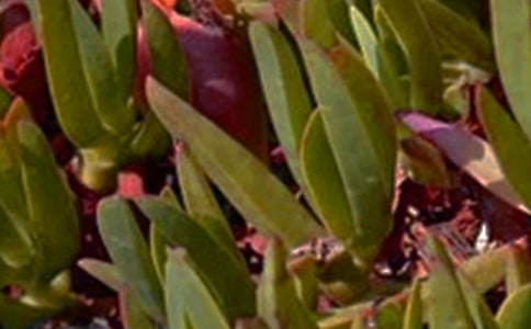 朋友圈午安寄語(yǔ)(精選30句)