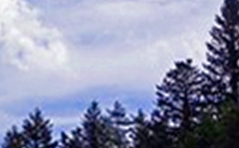 ����Ȧ�簲���Z(y��)230��