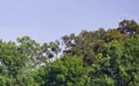 ��־�簲���Z100��