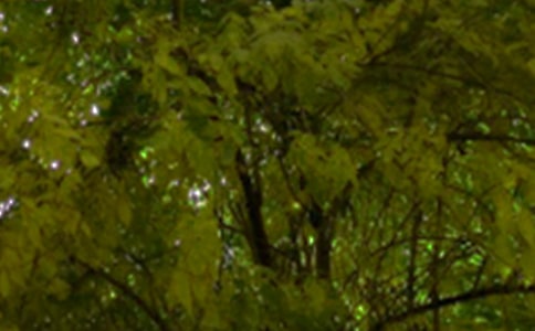 �����簲���Z�����x70�䣩