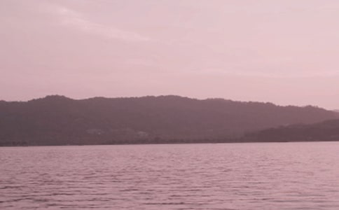 杭州的西湖作文