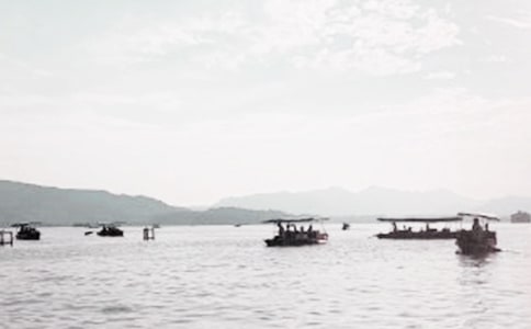 ���x����������ƪ