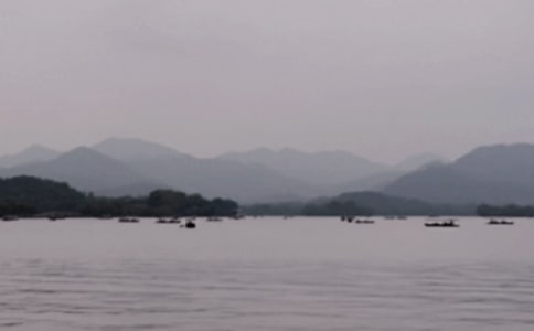 小學生西湖游記作文8篇