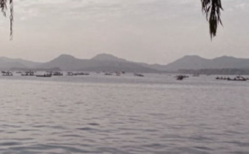 �P(gu��n)���������ģ����x36ƪ��