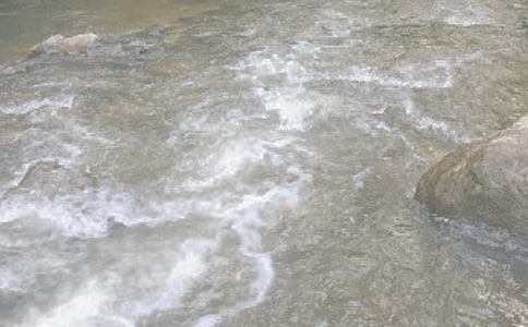 小溪流的清婉美作文650字(精選108篇)