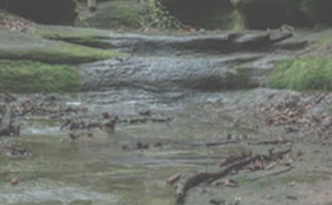 ��֮Ϫ������1000�ָ߶������x51ƪ��