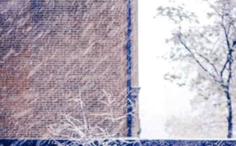 ��ѩ�˵�С�W(xu��)��ӛ