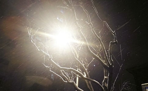 下雪的日記(通用18篇)