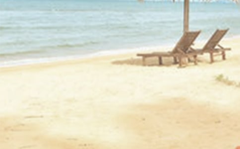 我喜歡夏季作文