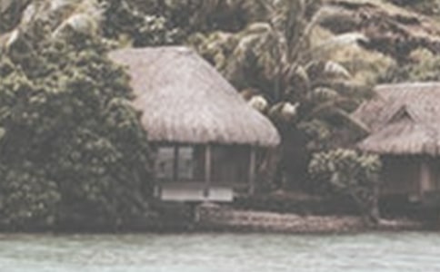 我愛(ài)夏季作文(15篇)