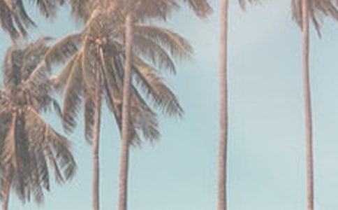 夏季安全致家長的一封信