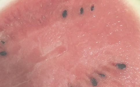 夏日狂想曲作文