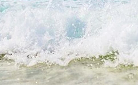 關(guān)于夏天寫(xiě)景作文