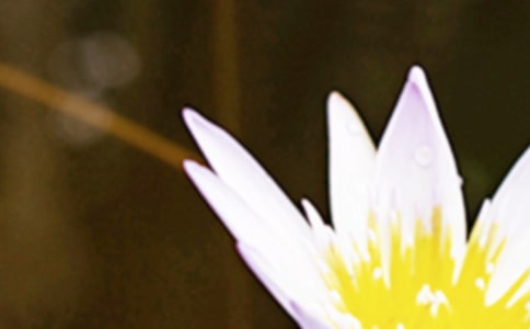 ����?x��)r��(ji��)�������