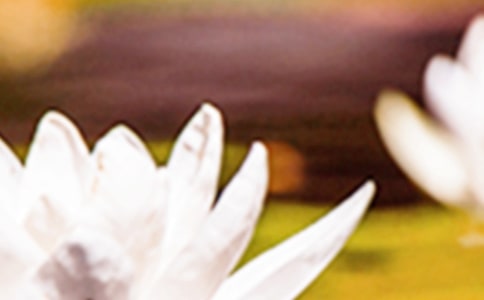 ����?x��)r��(ji��)���Z(���x11ƪ)