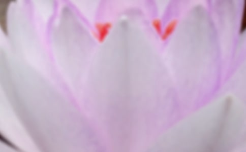 �����ƌW��ӽ̰������x5ƪ��