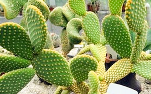 ���������ľ�Ʒ��15ƪ��