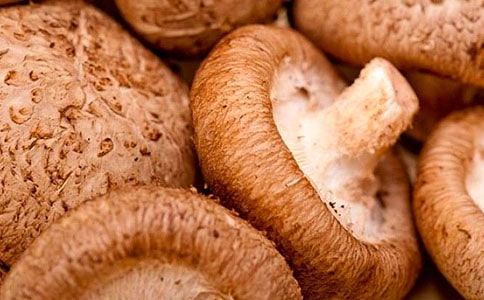 ���^�㹽������