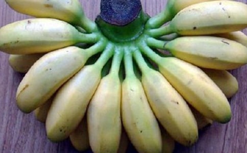 一個(gè)香蕉皮作文