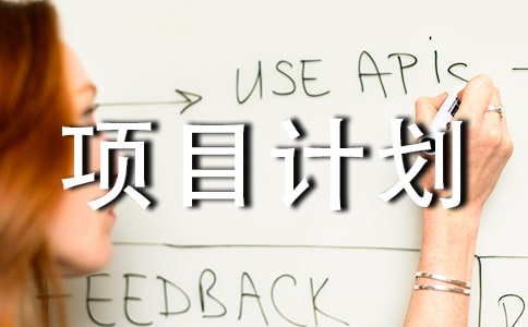 軟件創(chuàng)業(yè)項目計劃書