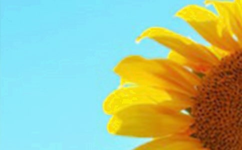 �а����g(sh��)�̰����տ���̫�(y��ng)