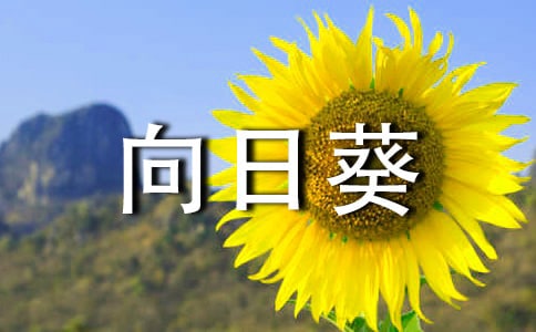 向日葵作文實(shí)用【15篇】