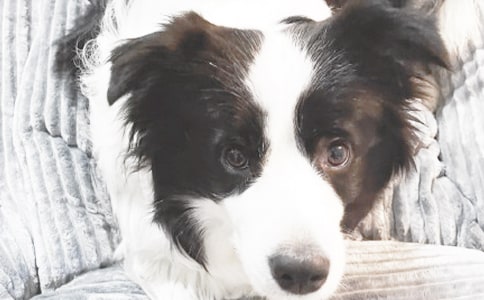 ��С���X�X���x���15ƪ[�]]