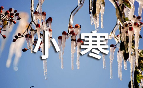 幼兒小班小寒教案(通用5篇)