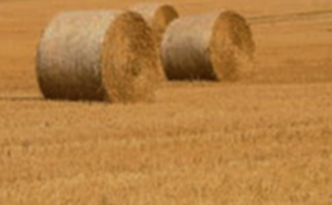 ���ƌW(xu��)�̰����J(r��n)�RС��