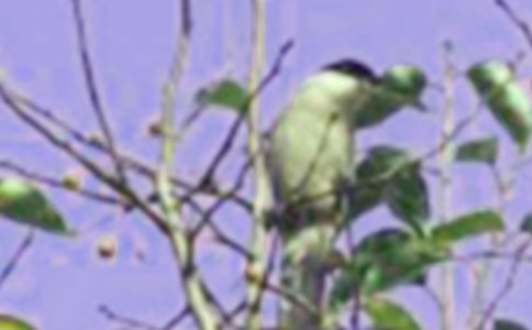 �܂���С�B����