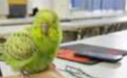 С�B����600��