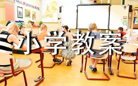 小學(xué)教案檢查小結(jié)