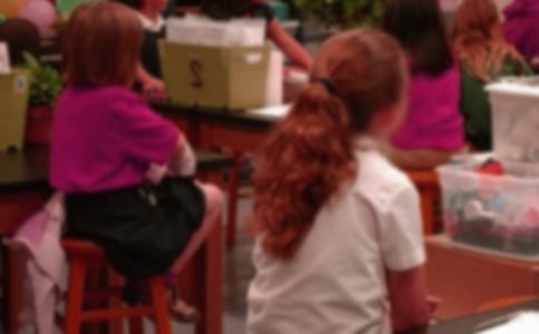 小學生期末評語(19篇)