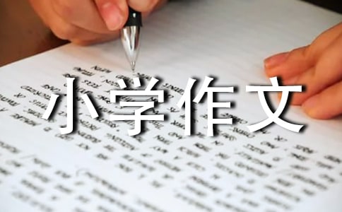 美麗的小學(xué)作文【薦】