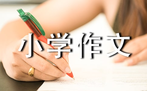 我們班的粗心大王小學(xué)作文450字(精選20篇)