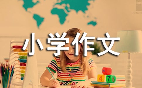 我的伙伴小學(xué)作文