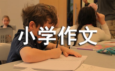 假文盲小學(xué)作文