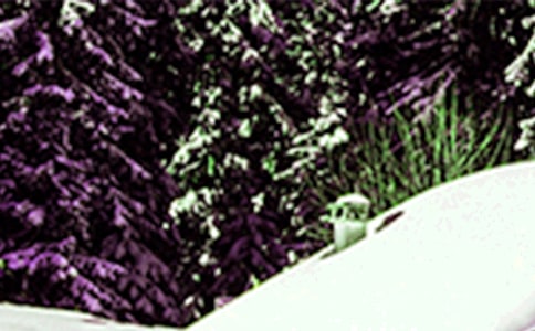 大班音樂活動(dòng)小雪花教案(精選9篇)